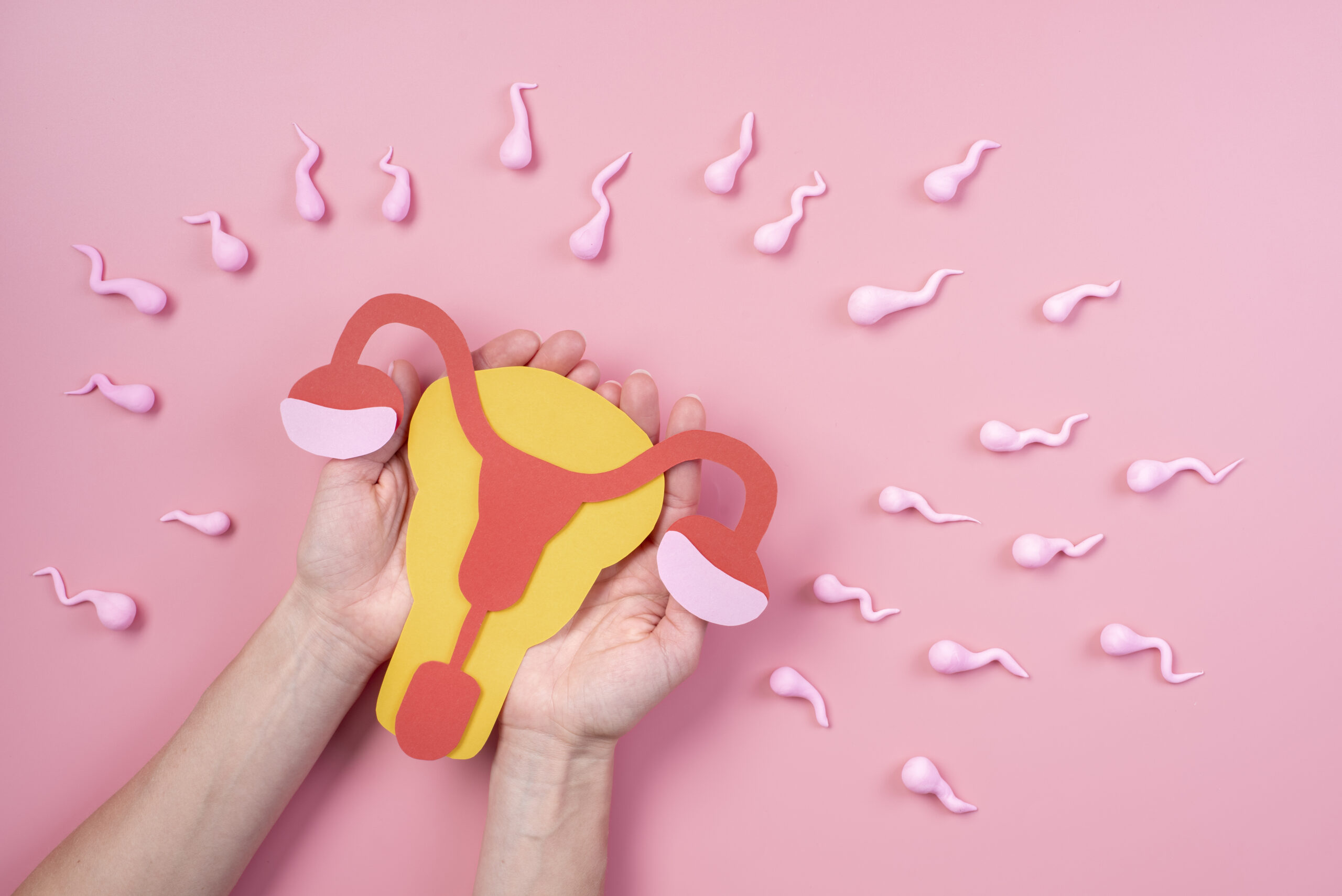 Fertility: Understanding Your Reproductive Health